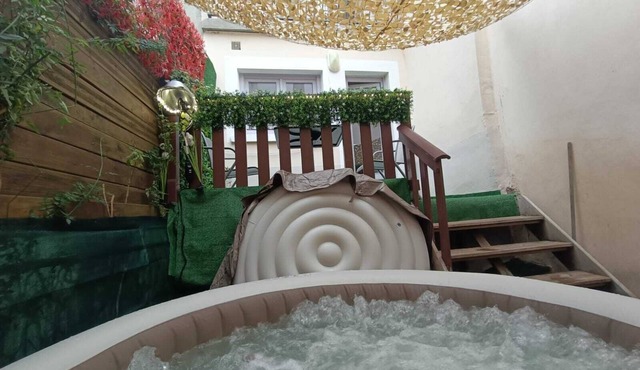 Le Nidyssoire in the heart of Issoire with SPA in summer and winter