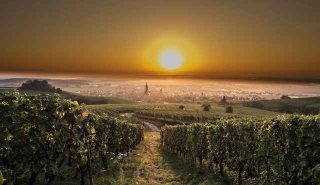 "Le P'tit coin de chez nous" star-rated atypical gite