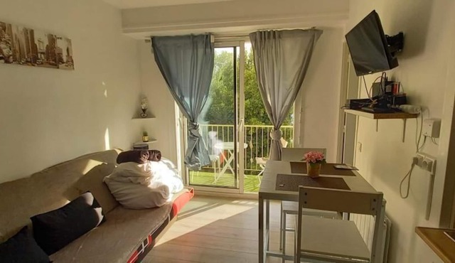 Le P'tit Repère Palois Balcon & Centre Ville