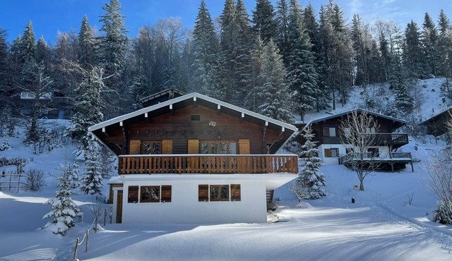 Le P'tit Schuss, a chalet on the slopes with a view!