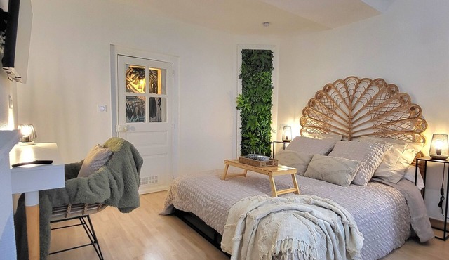 Le Palma studio hyper center