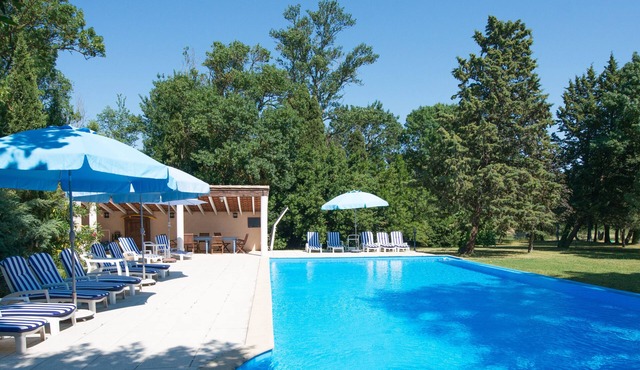 Le Palmier - luxury retreat near Carcassonne, family-friendly