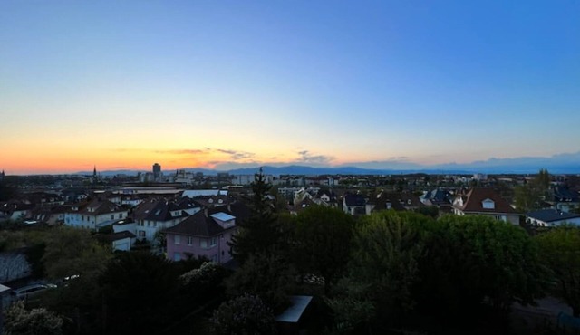 Le Panorama du Murat Mulhouse Riedisheim
