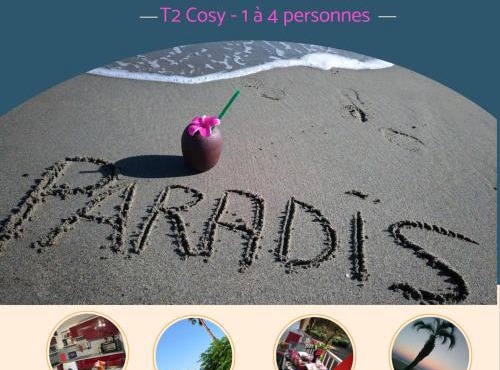 Le Paradis à Canet - Superbe T2 piscine, tennis, climatisation, parking privé