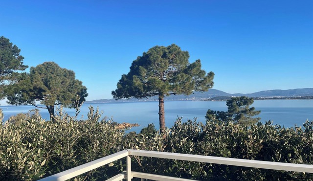 Le Paradis de Coti-chivari: sea view, maquis and eucalyptus forest. in Coti-Chiavari