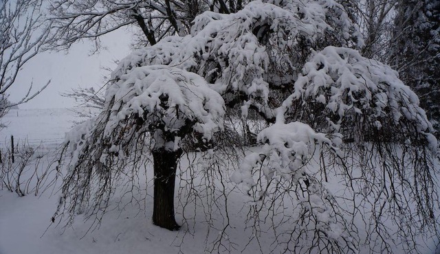 Le Paradis de Magellan-tranquilité à la Campagne