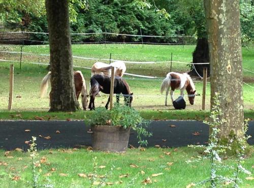 LE PARC DU VIVIER