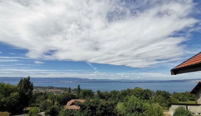 Le Parc Publier/Evian les Bains