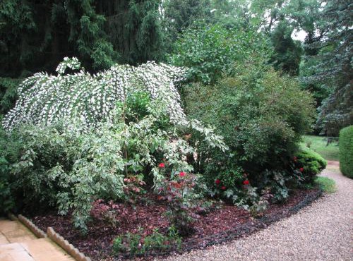 Le Pas de L'Ane Chambres d'hôtes