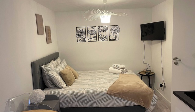 Le Patcho cosy and comfortable studio Centre de Strasbourg