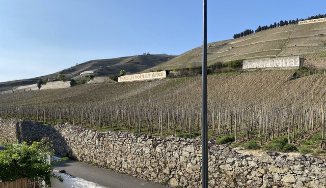 Le Pavillon de l'Hermitage - Spa