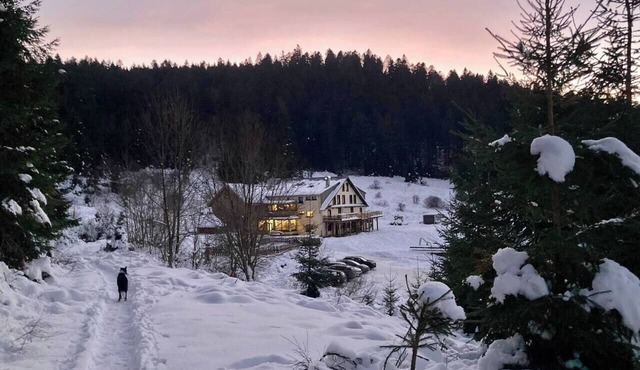 Le Perchoir 9 people, Grand Valtin, full nature