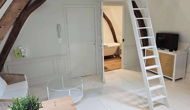 Le perchoir, studio avec mezzanine