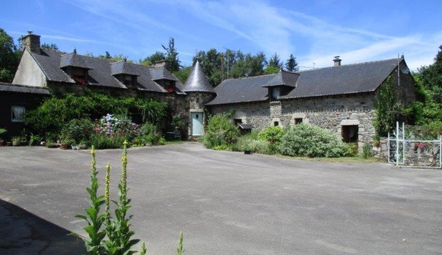 Le Petit Chateau, Matisse
