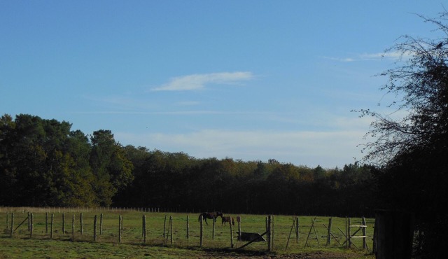 Le Petit Coin de Paradis de Jean-louis