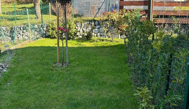 Le petit coin de patadis