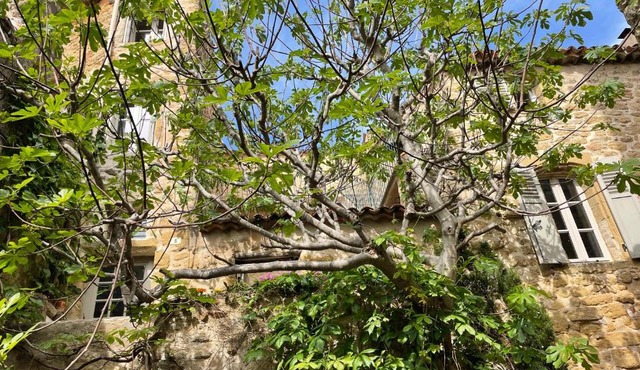 Le Petit Egregore, patio et climatisation