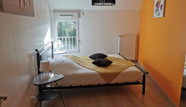 Le Petit Villeneuve, Gîte 15 p Proche Zoo de Beauval et Châteaux de la Loire