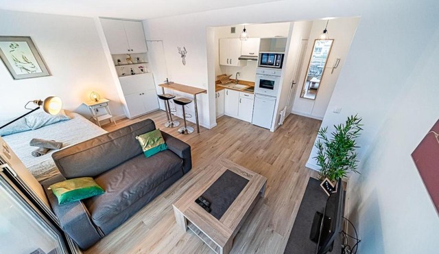 Le petit Massena-cosy 2 pers balcon- Part Dieu