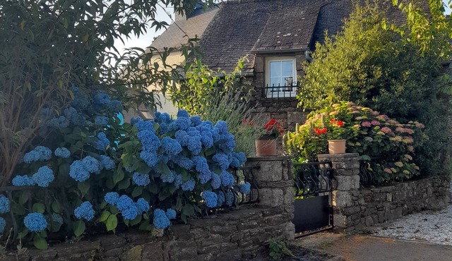 LE Petit NID DES Amoureux