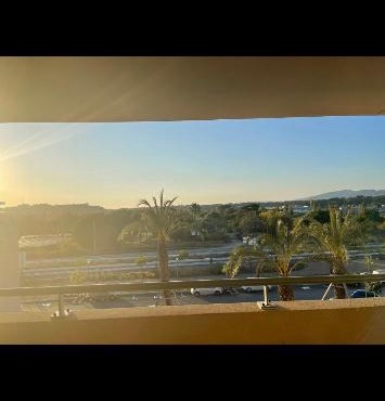 Le petit nid évasion