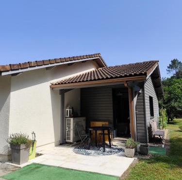 Le petit nid dans les bois