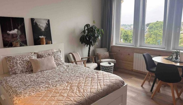 Le Petit Port, quiet apartment 5 minutes from the town center. Pets welcome!