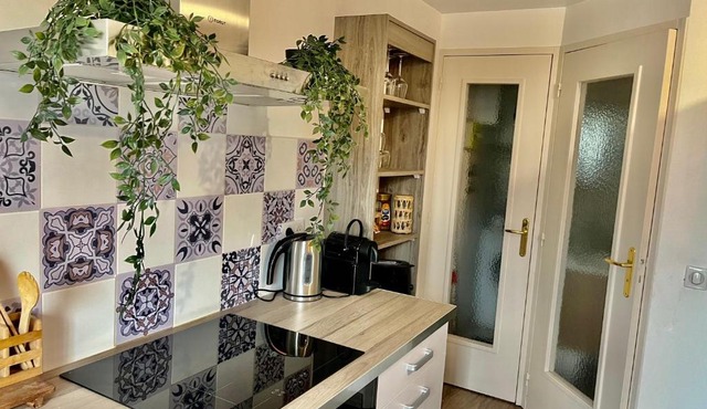 le petit prince , jolie maisonnette terrasse Netflix parking privé jeux de société