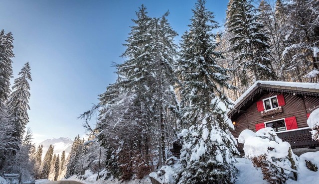 Le Petit Rêve - Lac de Montriond
