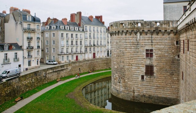 Le Petit Robin- Coeur de Nantes