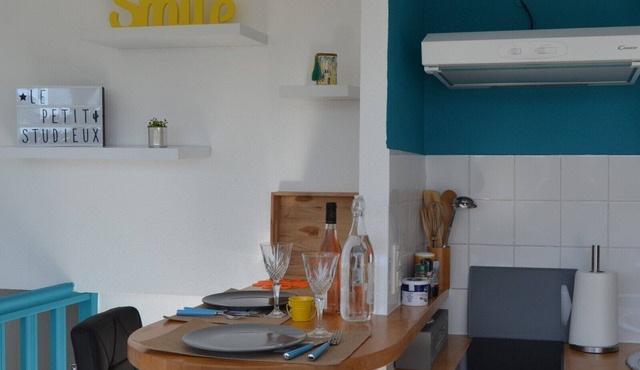 "Le petit Studieux", charming studio near Albi city center