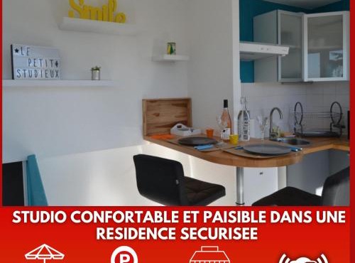 Le petit studieux - Parking - Animaux acceptés - Centre ville accessible à pied