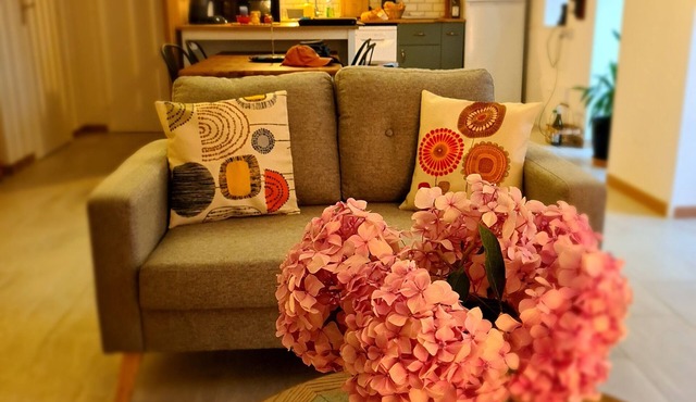 Le Petit Velours, Gite Le Petit Velours, au cœur des crus du Beaujolais.