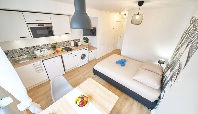 Le Petit Villon- Maison de la Danse-Montplaisir