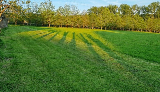 le petite maison bleu, mobile home in Plevin