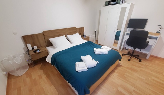 Le Pied-à-Terre de Fenières - T2 10mins from Geneva and CERN!