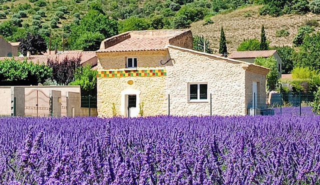 Le Pigeonnier D'adrien, Entouré de Lavande