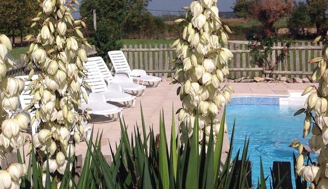 Le Poirier- Beautiful 3 bedroom Gite with on-site Swimming Pool and Gardens