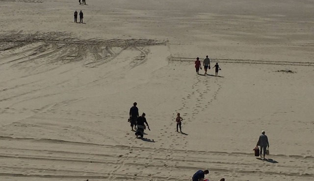 Le Portel beach 50m from the sea, 2 bedrooms, with terrace, garden, garage