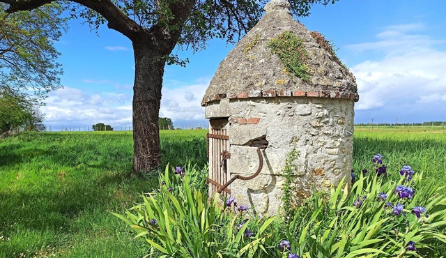 Le puits du Bréneau