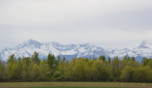 Le PYRENEA (Ministerial classification) Quiet near the center. Proximity to Adour.