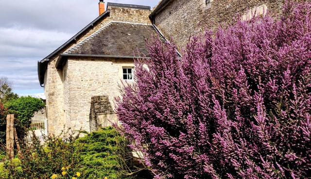 Le Quarté, an exceptional B&B at the Haras du vieux château
