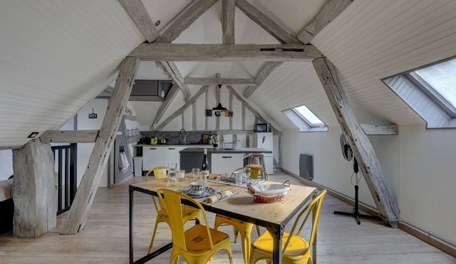 Le Rabelais - Appt, à 5min du château d'Amboise