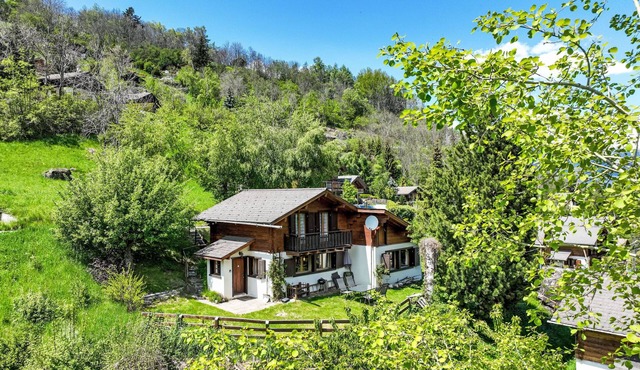 Le Raccard by Interhome