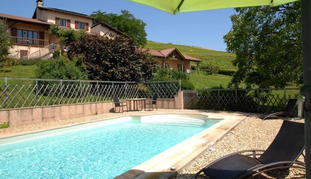 Le Raisin Bleu - PRUZILLY