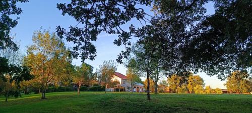 Le Reflet du Trèfle