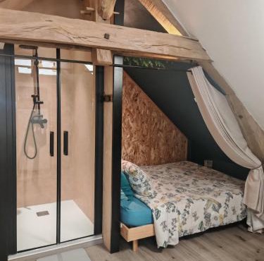 Le refuge du chat endormi