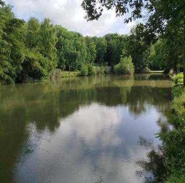 Le Relais de la Bulle Enchantée