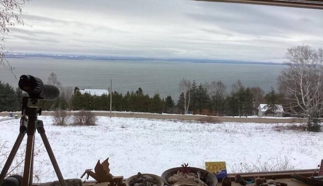 Le Remous appartement avec vue sur le St-laurent. CITQ 322867