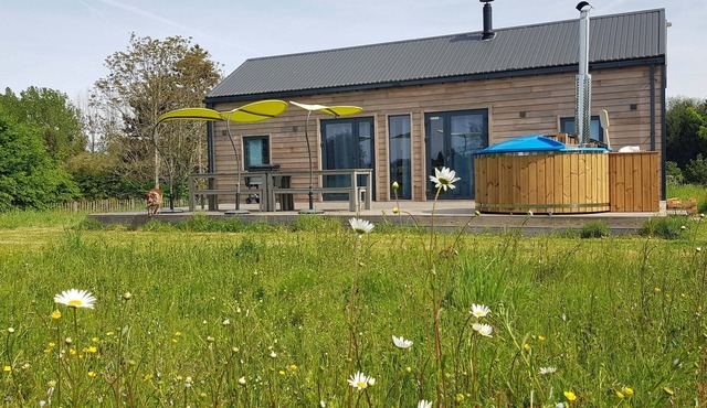 Le Renard, eco-friendly * cabin close to Beauval and the chateaux